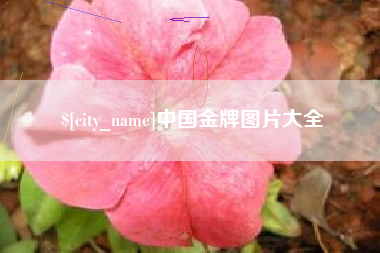 泰兴中国金牌图片大全