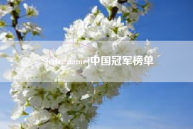 泰兴中国冠军榜单