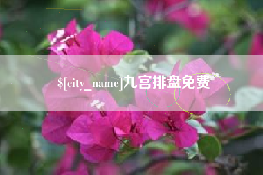 泰兴九宫排盘免费