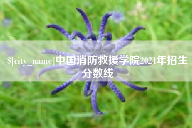 泰兴中国消防救援学院2024年招生分数线