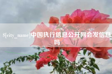泰兴中国执行信息公开网会发信息吗