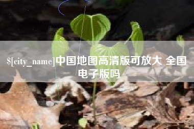 泰兴中国地图高清版可放大 全国 电子版吗