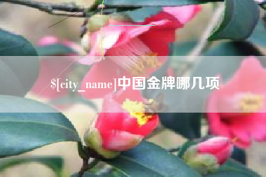 泰兴中国金牌哪几项