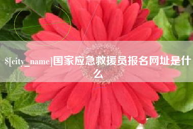 泰兴国家应急救援员报名网址是什么