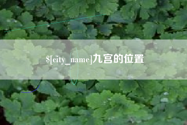 泰兴九宫的位置