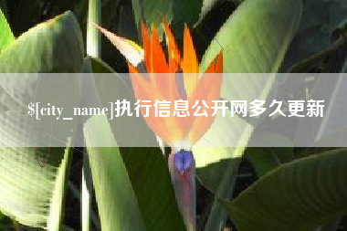 泰兴执行信息公开网多久更新