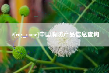 泰兴中国消防产品信息查询