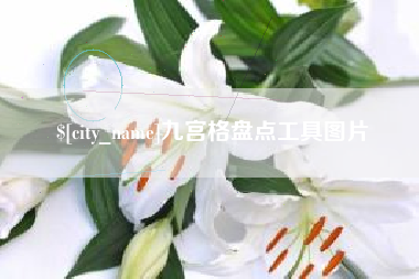 泰兴九宫格盘点工具图片