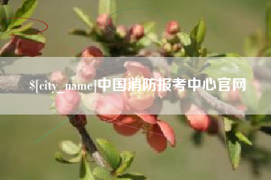 泰兴中国消防报考中心官网