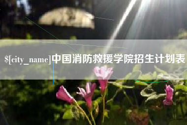 泰兴中国消防救援学院招生计划表