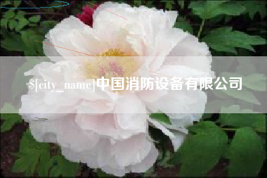 泰兴中国消防设备有限公司