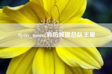 泰兴消防救援总队王星