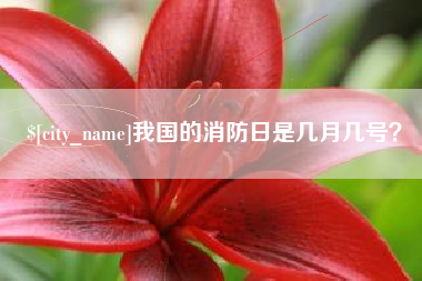 泰兴我国的消防日是几月几号？