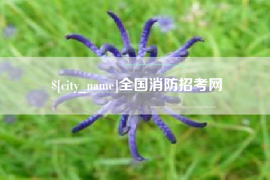 泰兴全国消防招考网