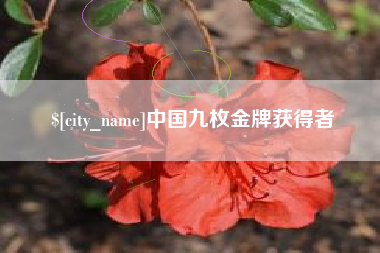 泰兴中国九枚金牌获得者
