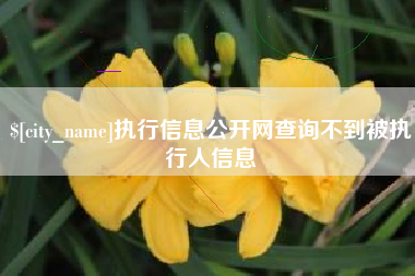 泰兴执行信息公开网查询不到被执行人信息