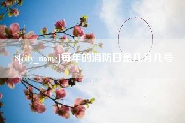 泰兴每年的消防日是几月几号