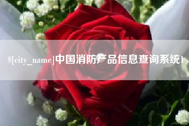 泰兴中国消防产品信息查询系统1