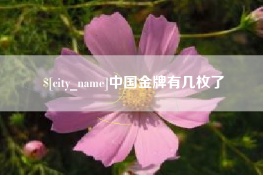 泰兴中国金牌有几枚了