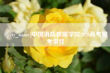 泰兴中国消防救援学院2020高考报考条件