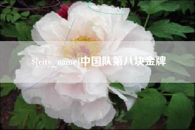 泰兴中国队第八块金牌