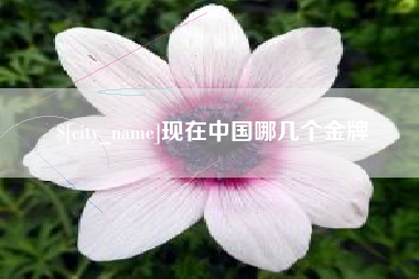 泰兴现在中国哪几个金牌