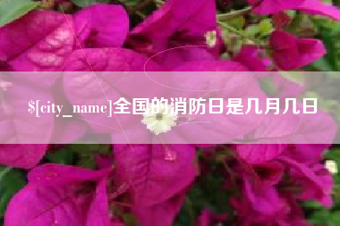 泰兴全国的消防日是几月几日