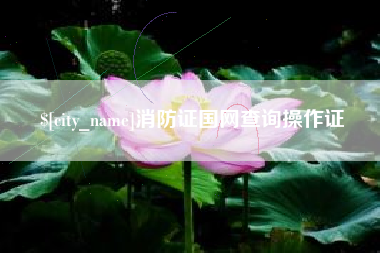 泰兴消防证国网查询操作证