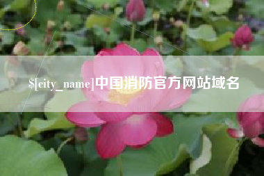 泰兴中国消防官方网站域名