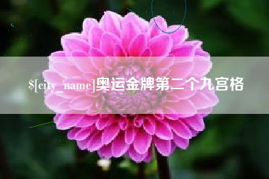 泰兴奥运金牌第二个九宫格