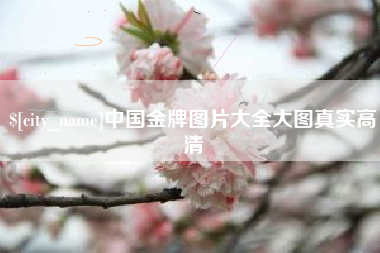 泰兴中国金牌图片大全大图真实高清