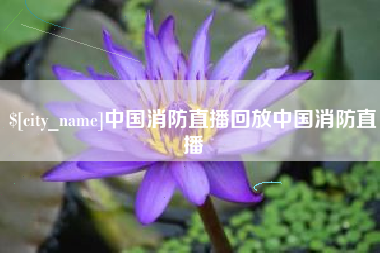 泰兴中国消防直播回放中国消防直播