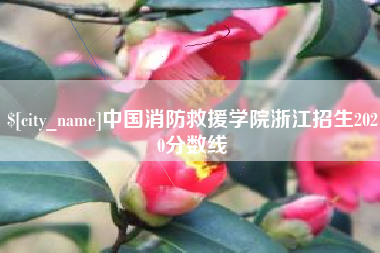 泰兴中国消防救援学院浙江招生2020分数线