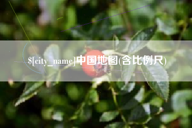 泰兴中国地图(含比例尺)