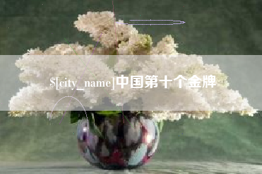 泰兴中国第十个金牌