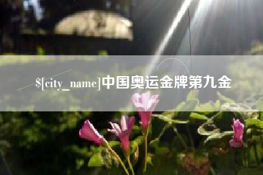 泰兴中国奥运金牌第九金