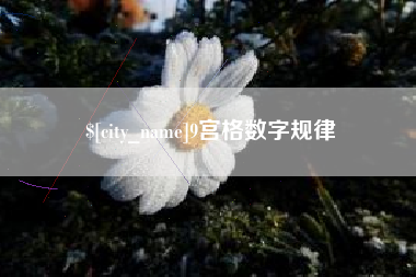 泰兴9宫格数字规律