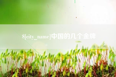 泰兴中国的几个金牌