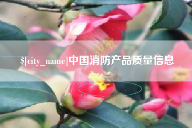 泰兴中国消防产品质量信息