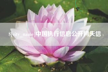 泰兴中国执行信息公开网失信