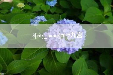 泰兴2022九宫