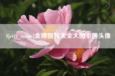 泰兴金牌图片大全大图卡通头像