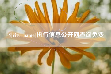 泰兴执行信息公开网查询免费