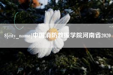 泰兴中国消防救援学院河南省2020